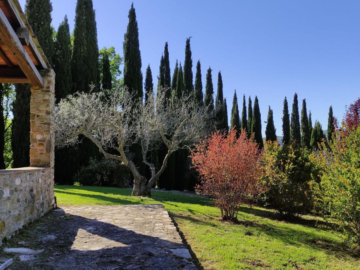 Atmospheric Apartment In Authentic House Near Beautiful Sasso Pisano Exterior photo